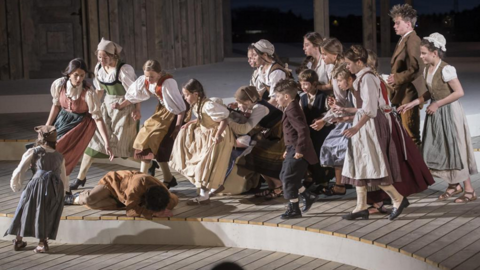 die helvetische revolution