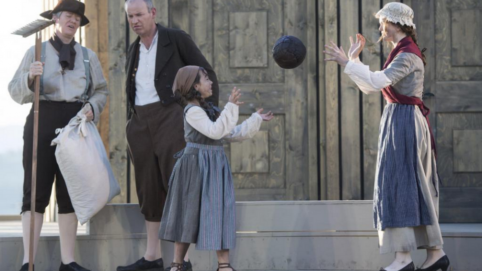 die helvetische revolution